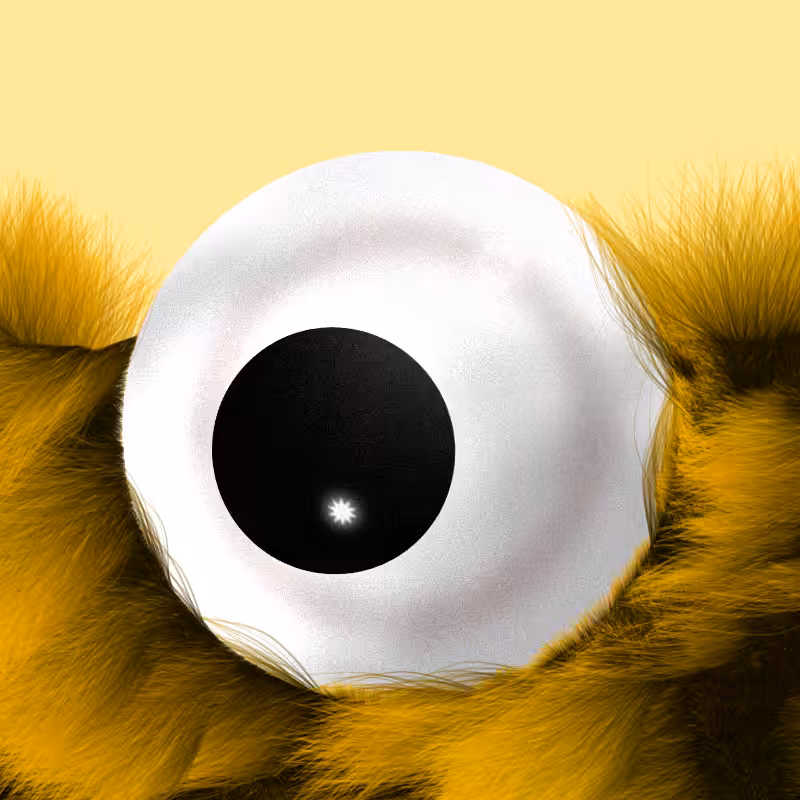 Fuzzy Gaze #51