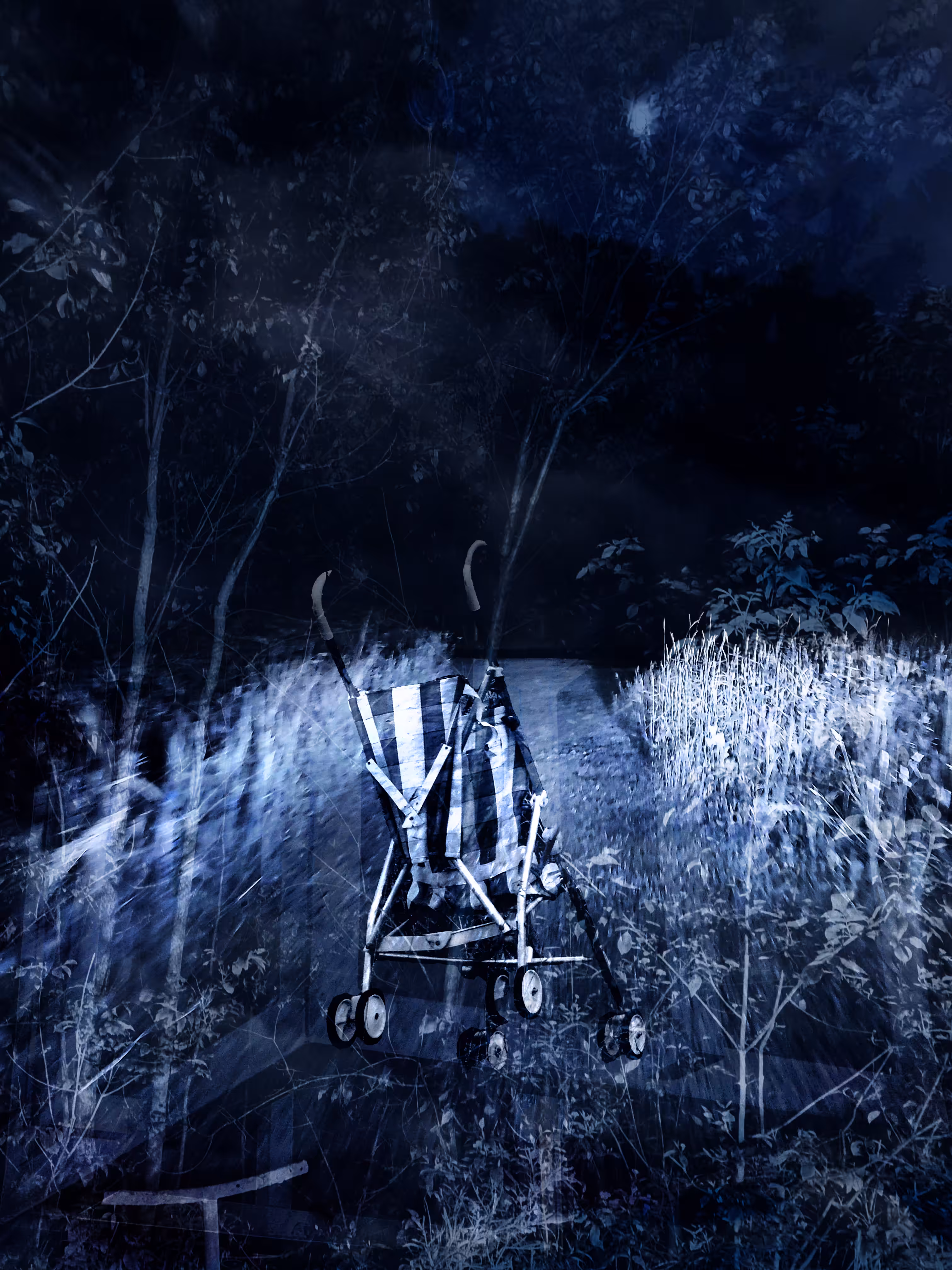 _intothenight