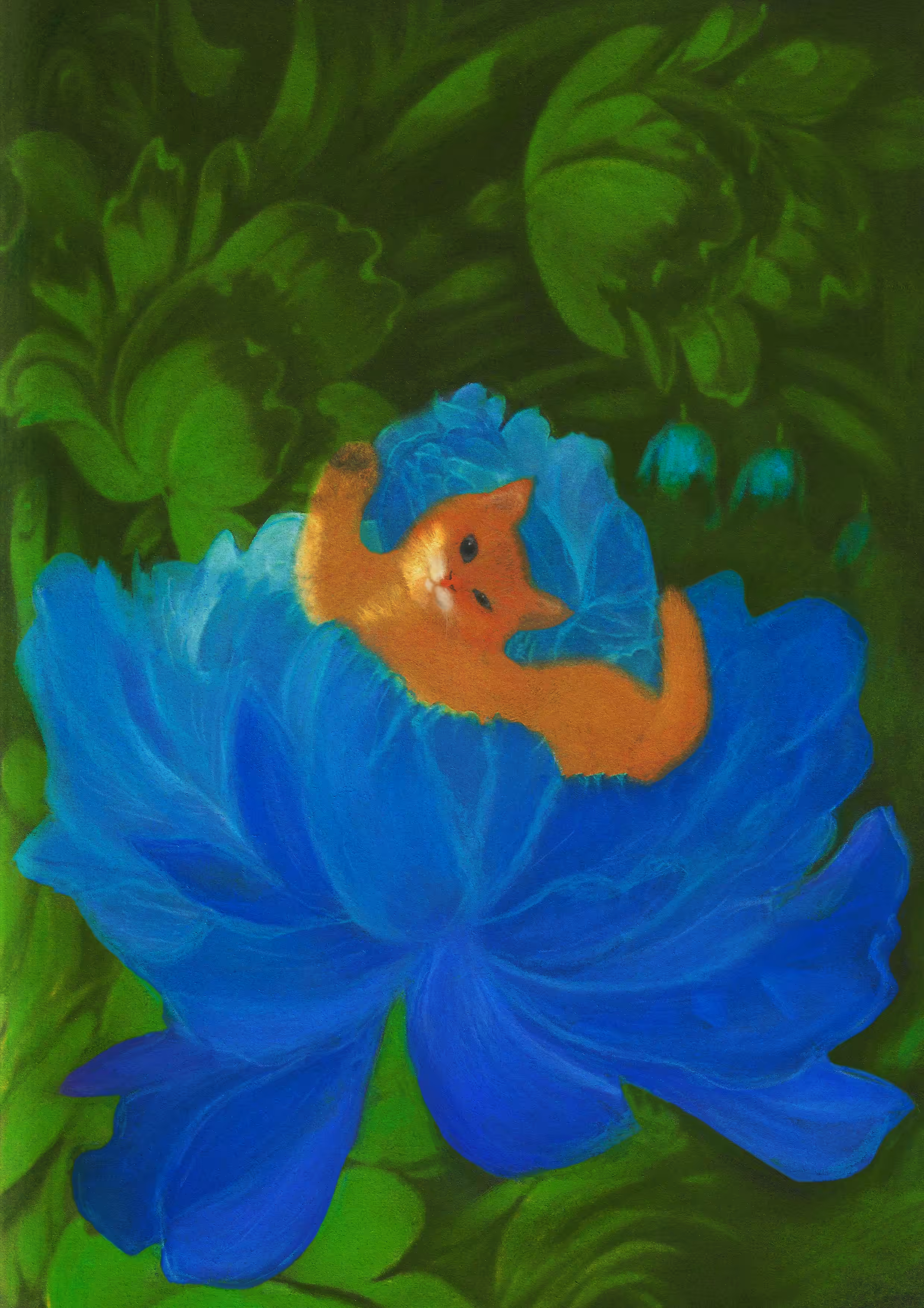 The birth of the little Venus