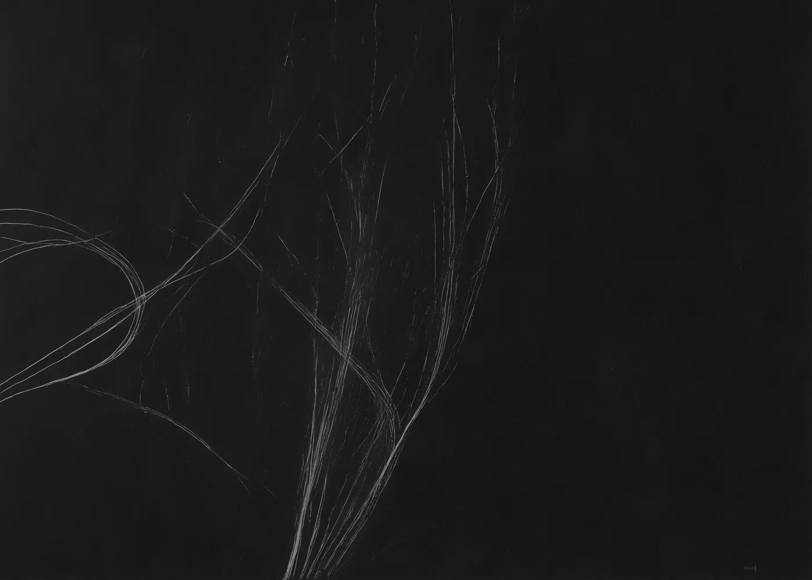 Lumens #174
