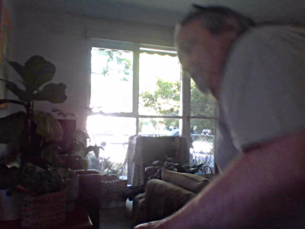 All The Hidden Quanta - Postcard from Leslie Road, Essendon - Photo-bombing 2022/01/10