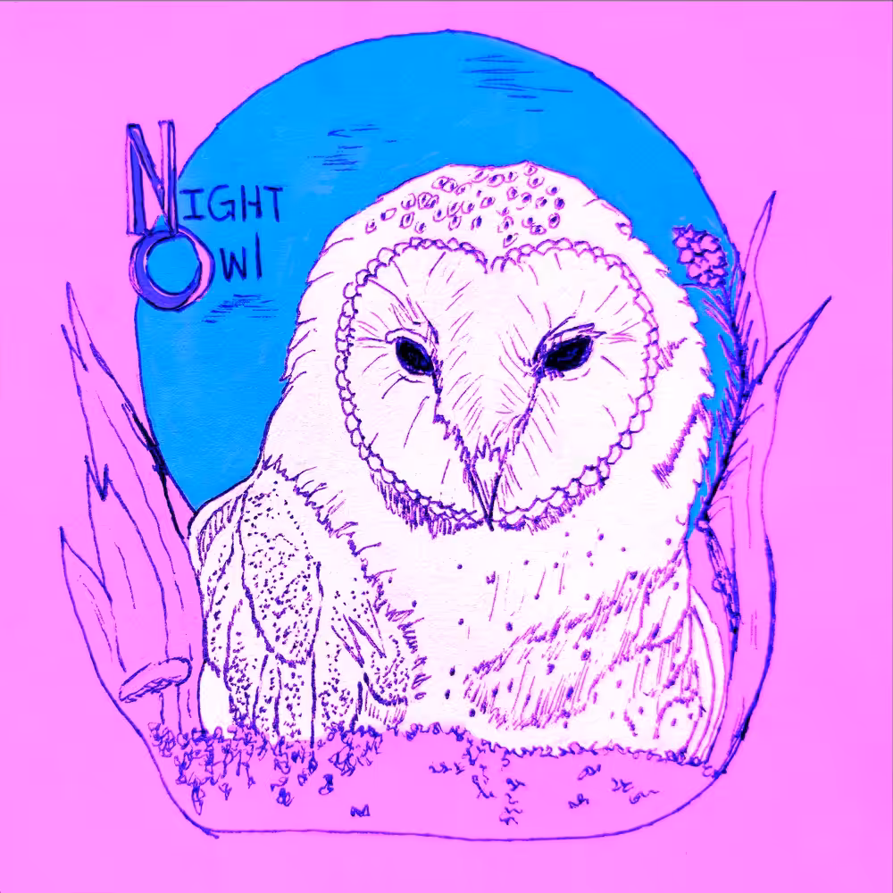 Night Owl