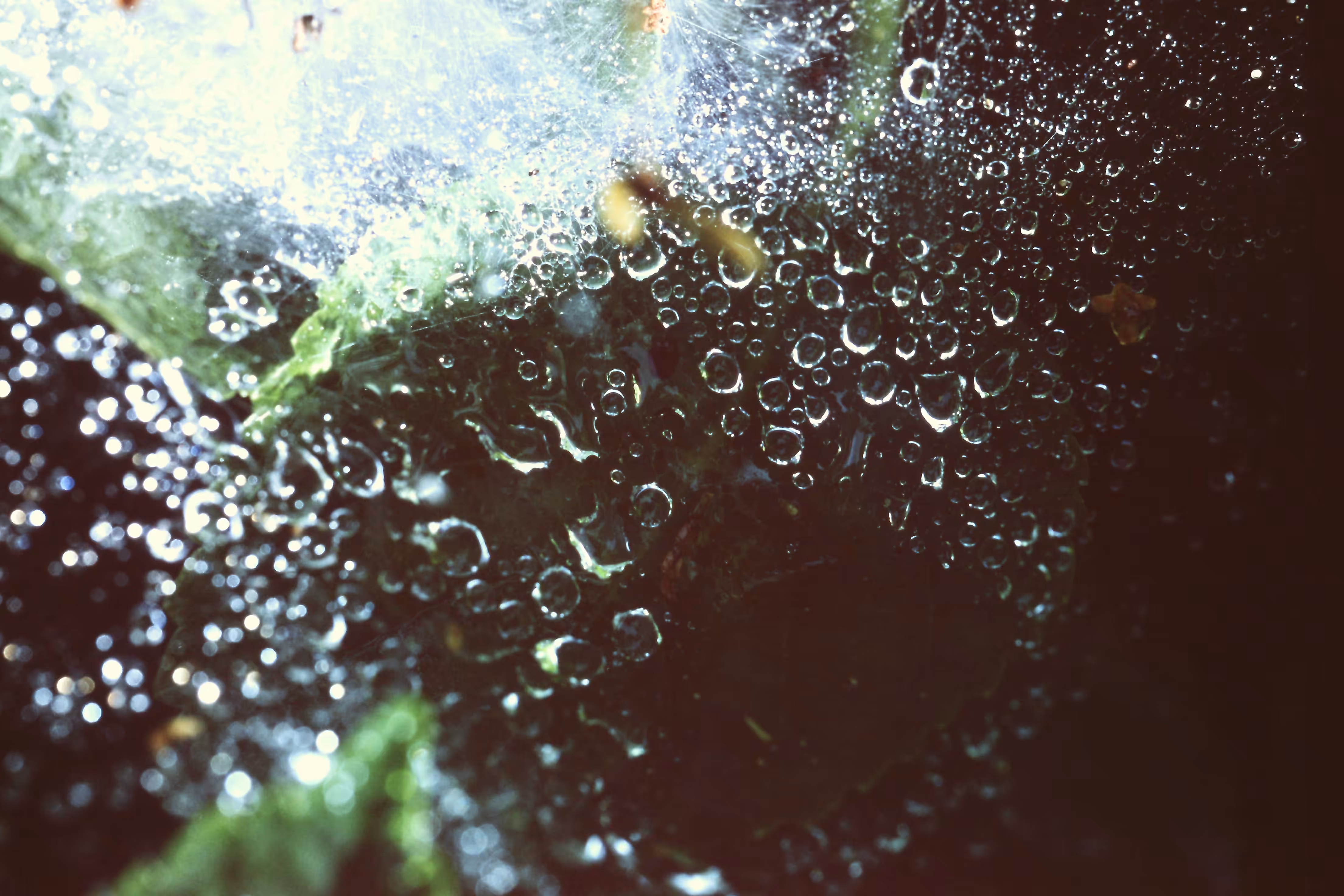 Heaven Series: The World of Film - Beautiful World