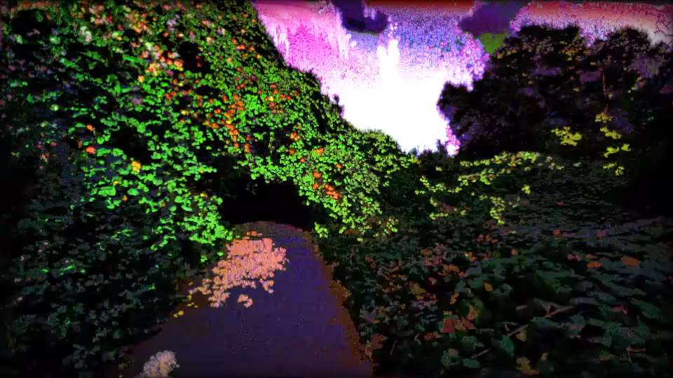 Canopy Portal into Violet Falls