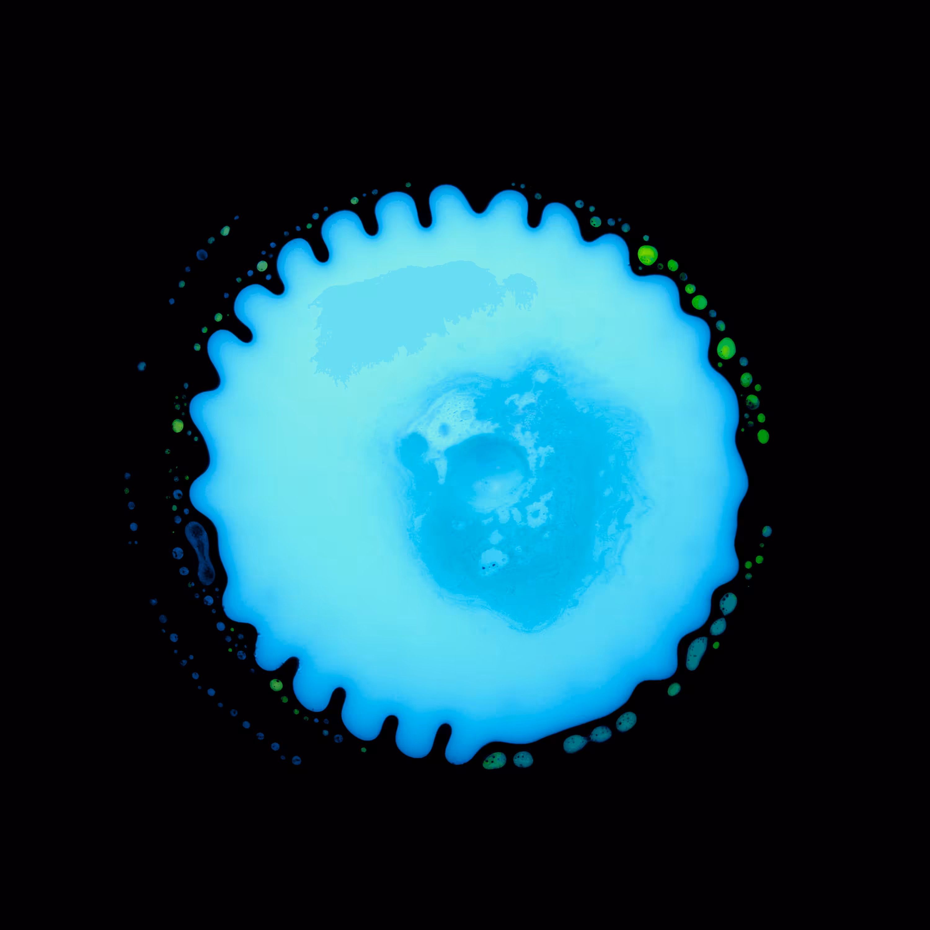 Haematopoiesis #100
