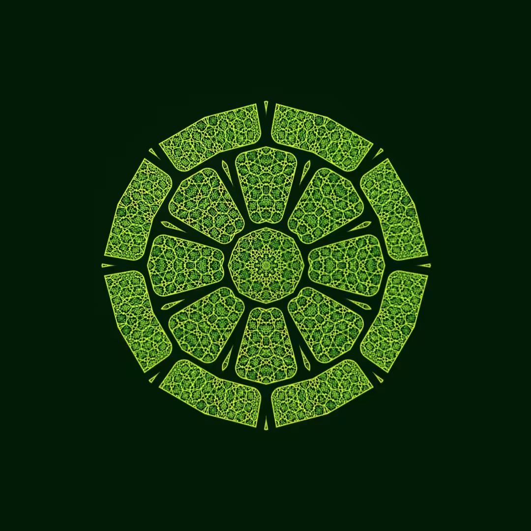Animated Mandala #1