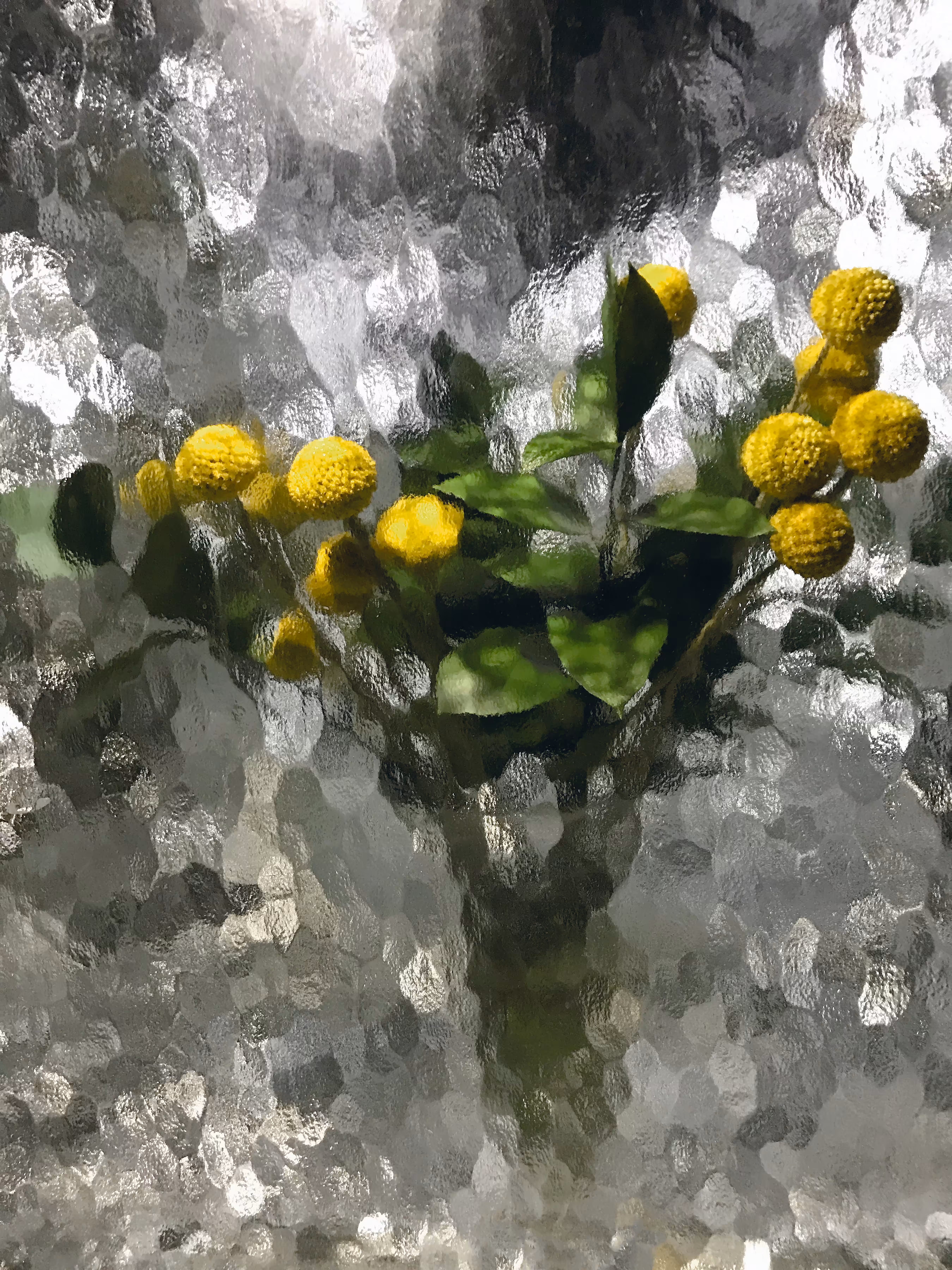 Reflections #9