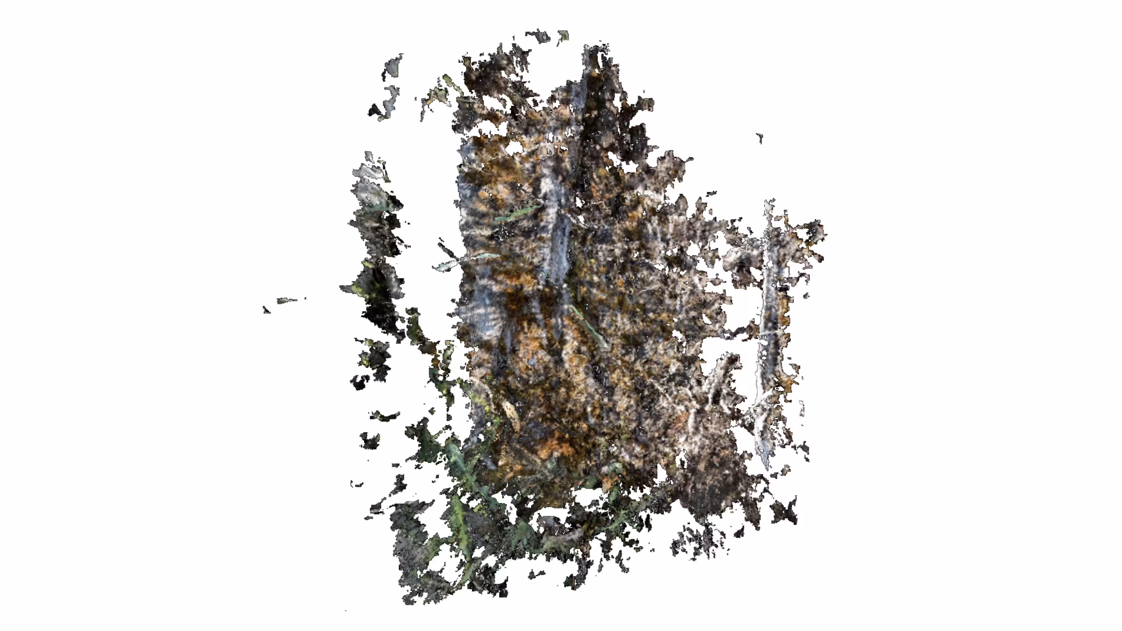 Bog 1 (0-00-00-00)