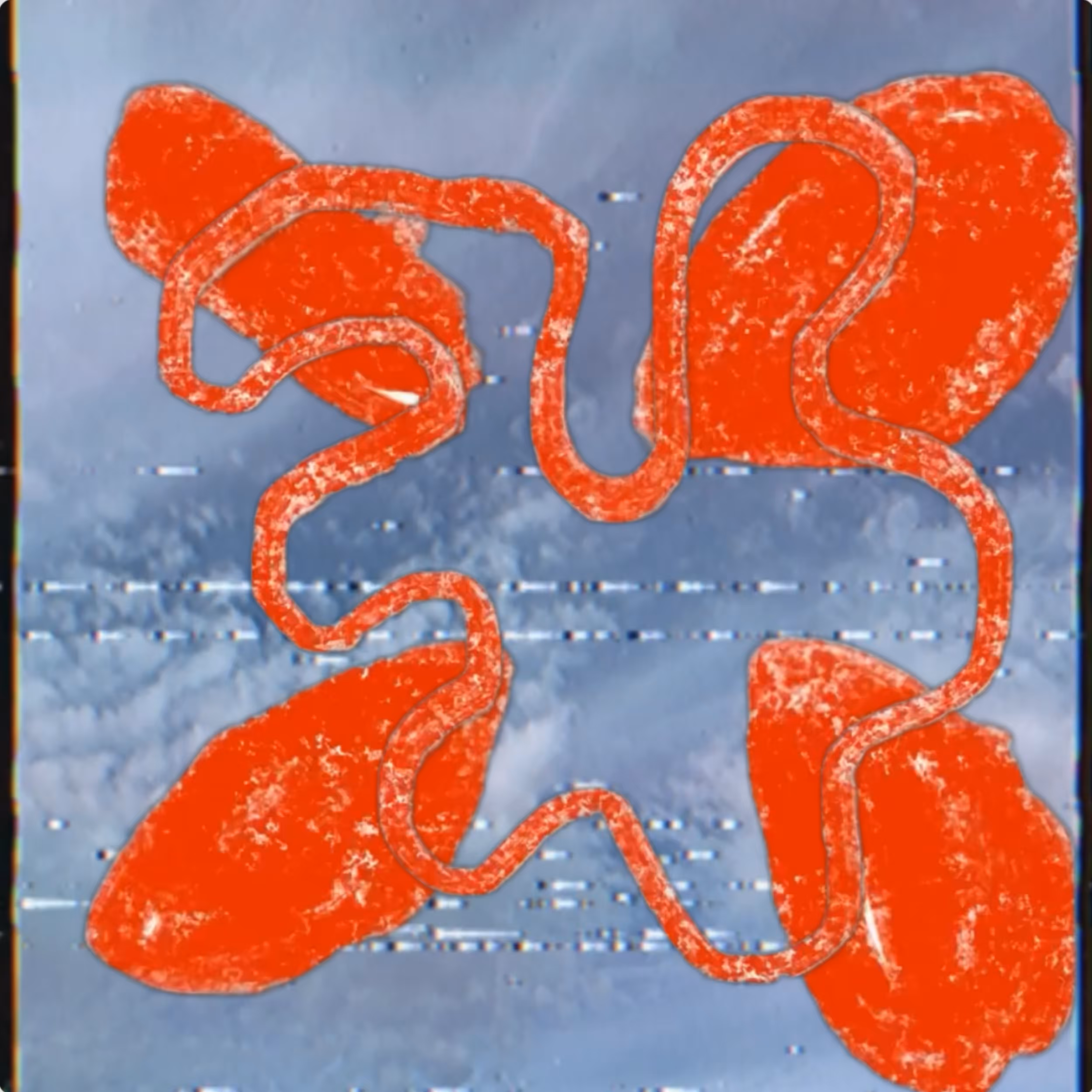 VHS SKY VIRUS 04