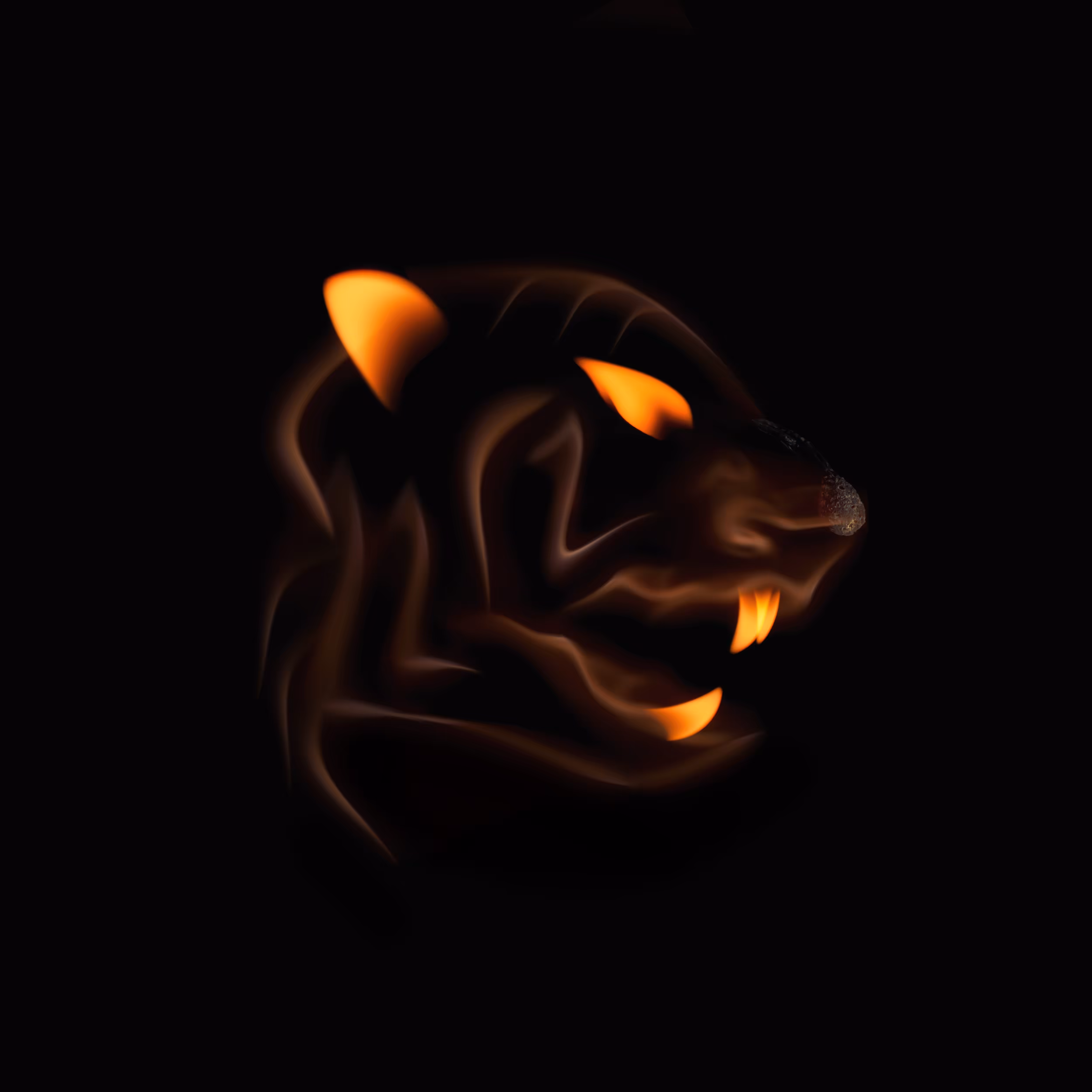 #27 - Tiger