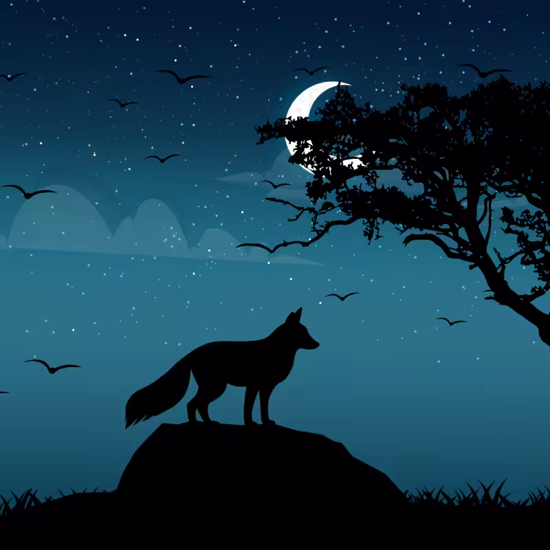 We Care...Fox #2