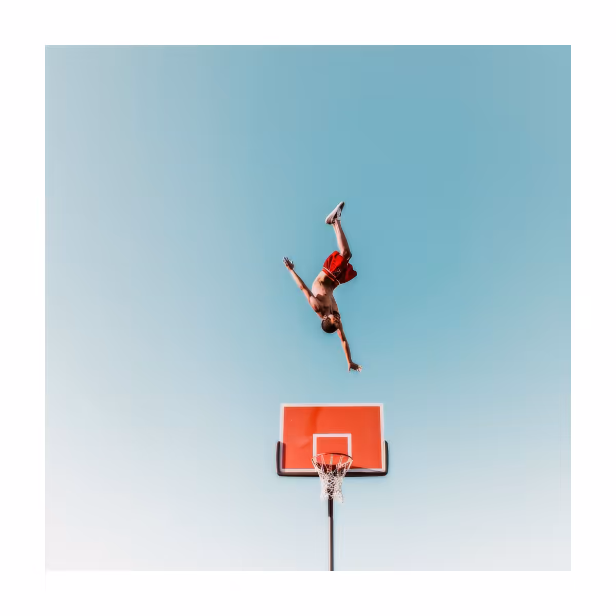 The basket - IV