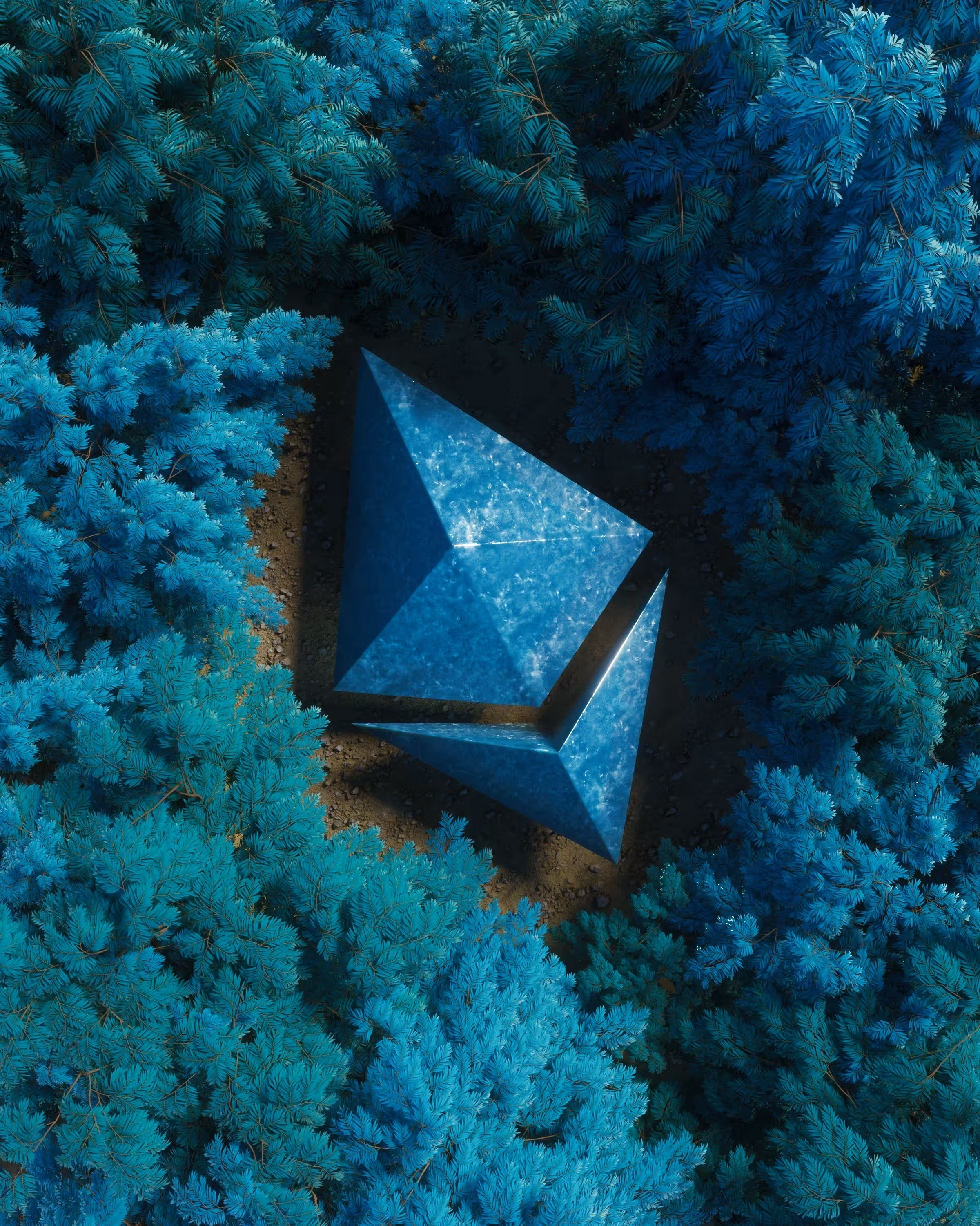 The Forest Of Ether