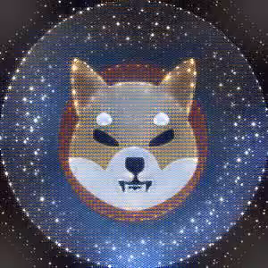 Shiba Inu #6