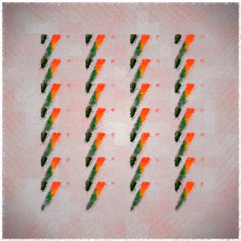 Maculas #35