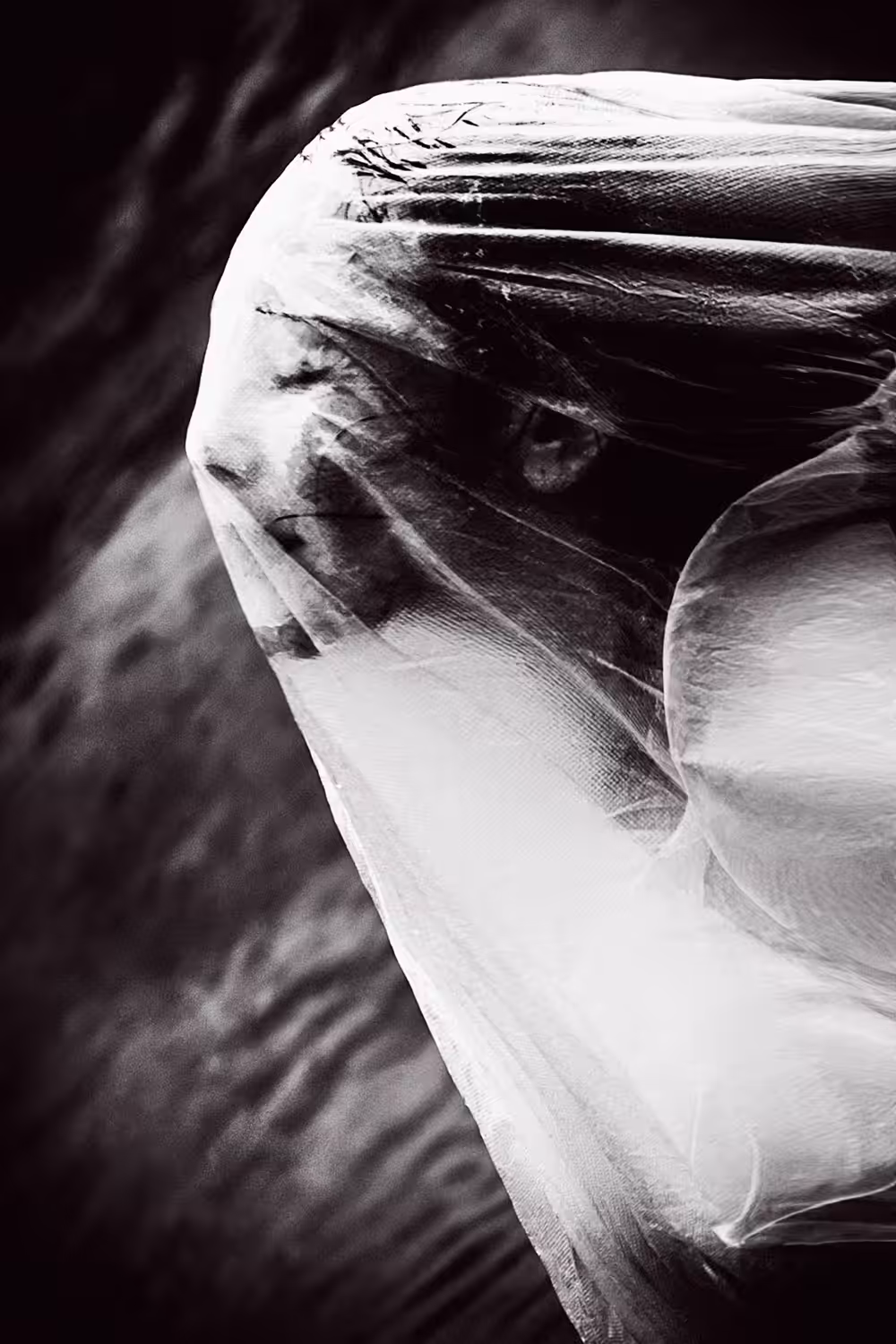 The Roaming Soul