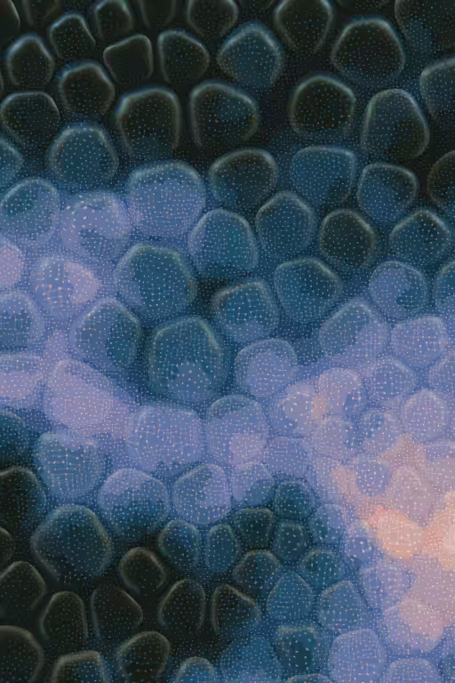 Vitreous #32