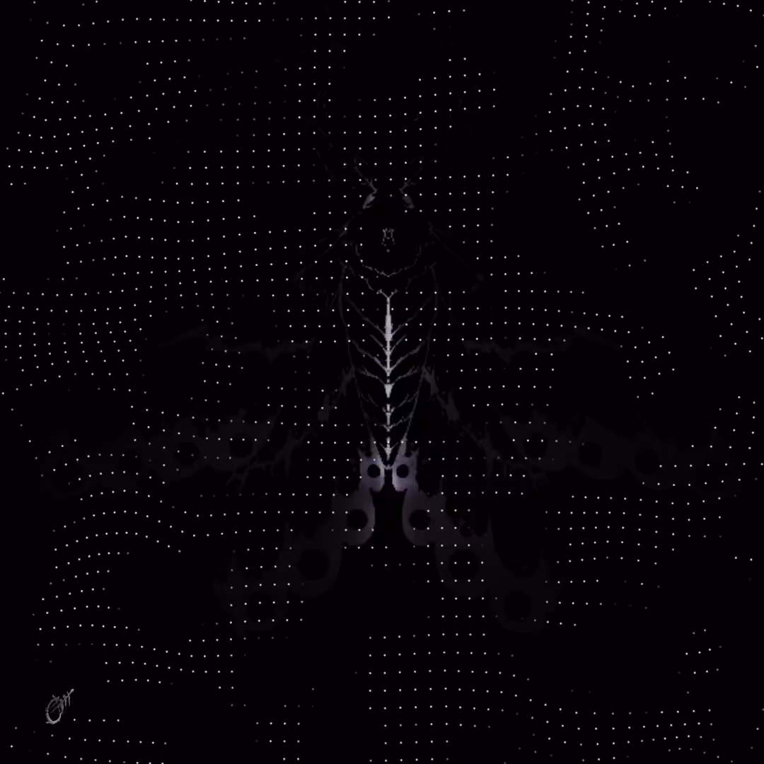 MOTH