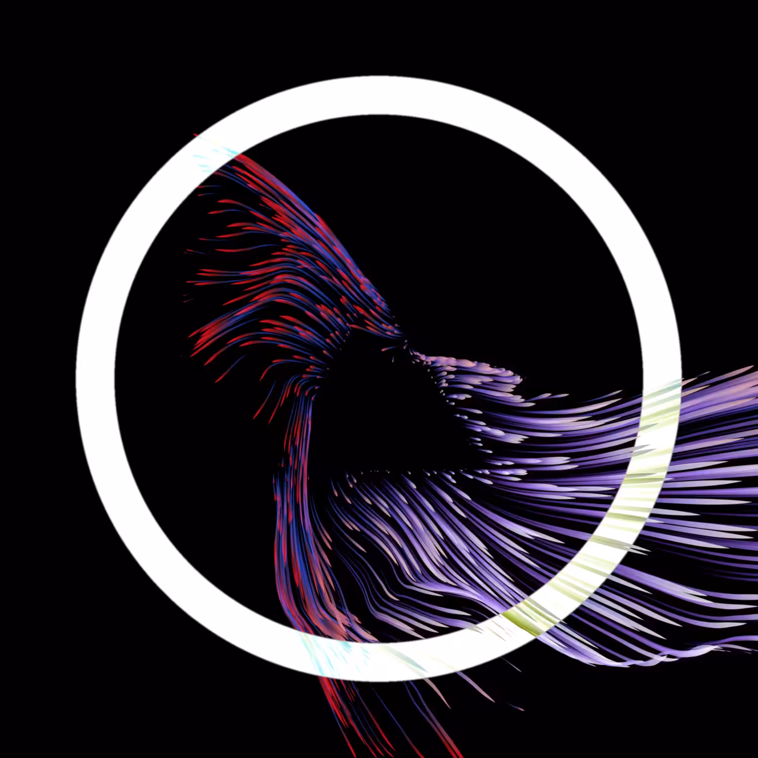 Vortex #1169