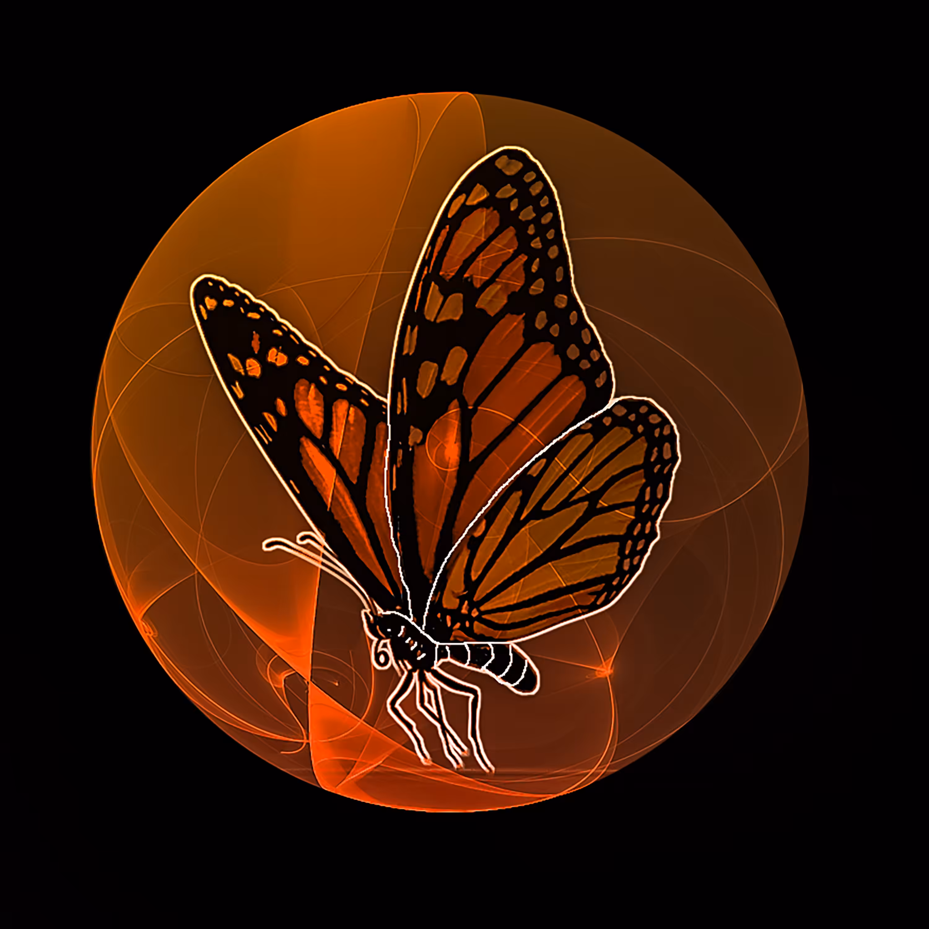 Butterfly, Confidant of the Flowers