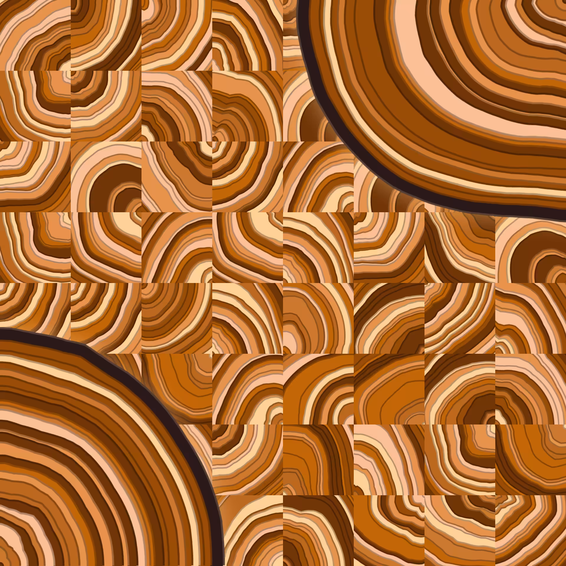 Growth Rings #15