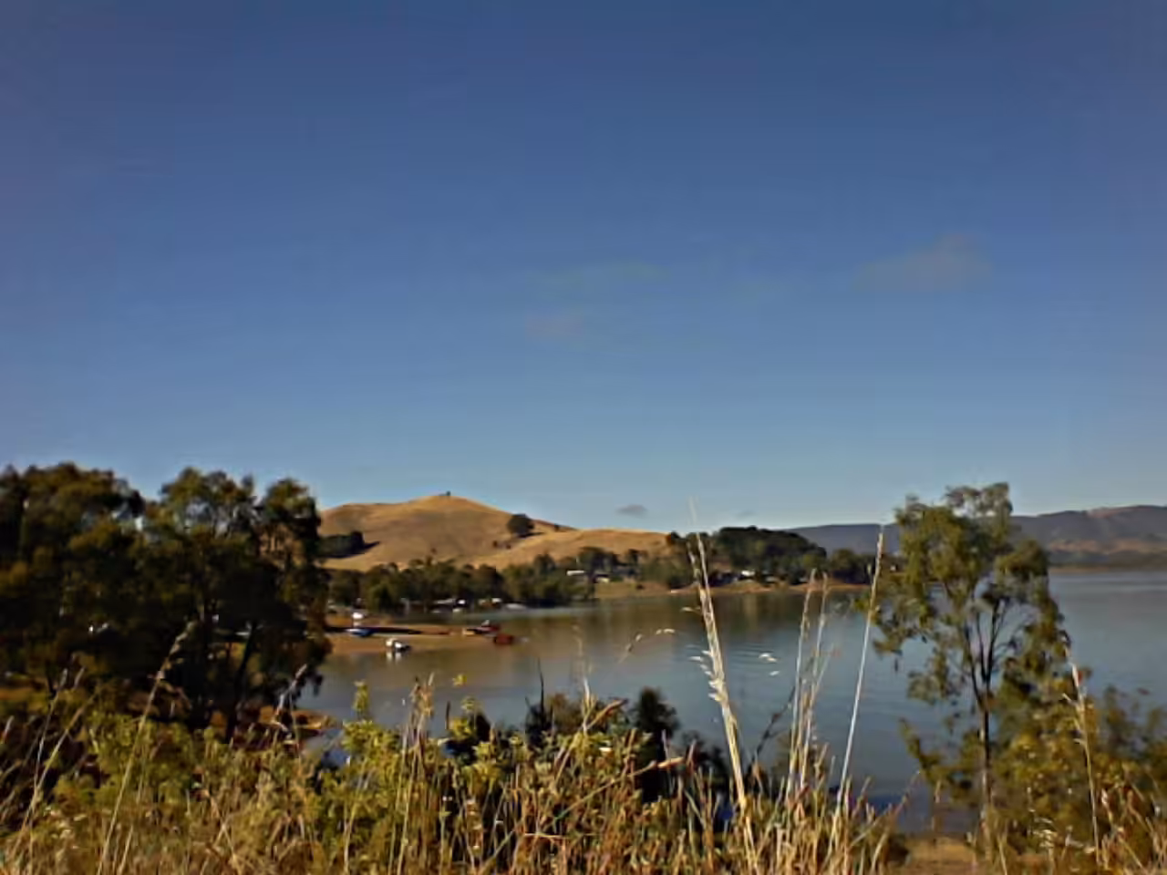 All The Hidden Quanta - Postcard from Bonnie Doon - Bonnie Doon Morning - Lines 2022/01/16