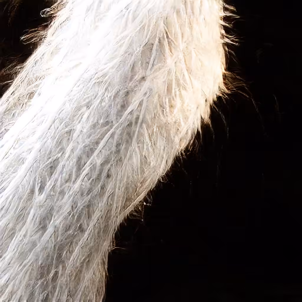 The Non-Human Artwork Project #181