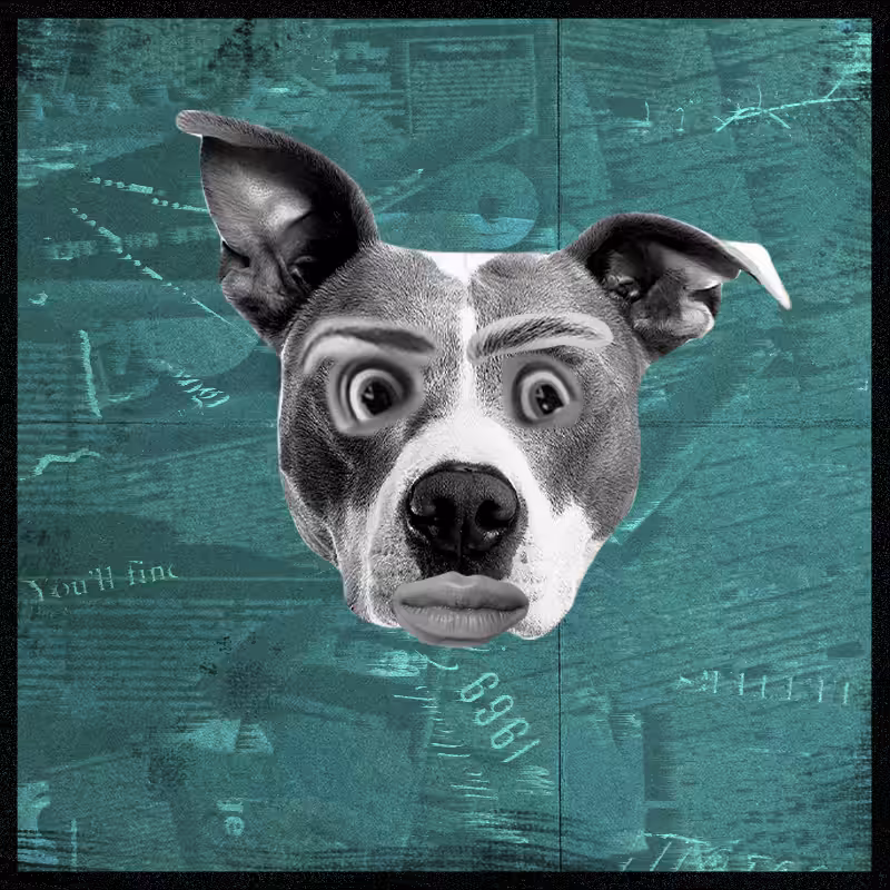 Doggenstein #15