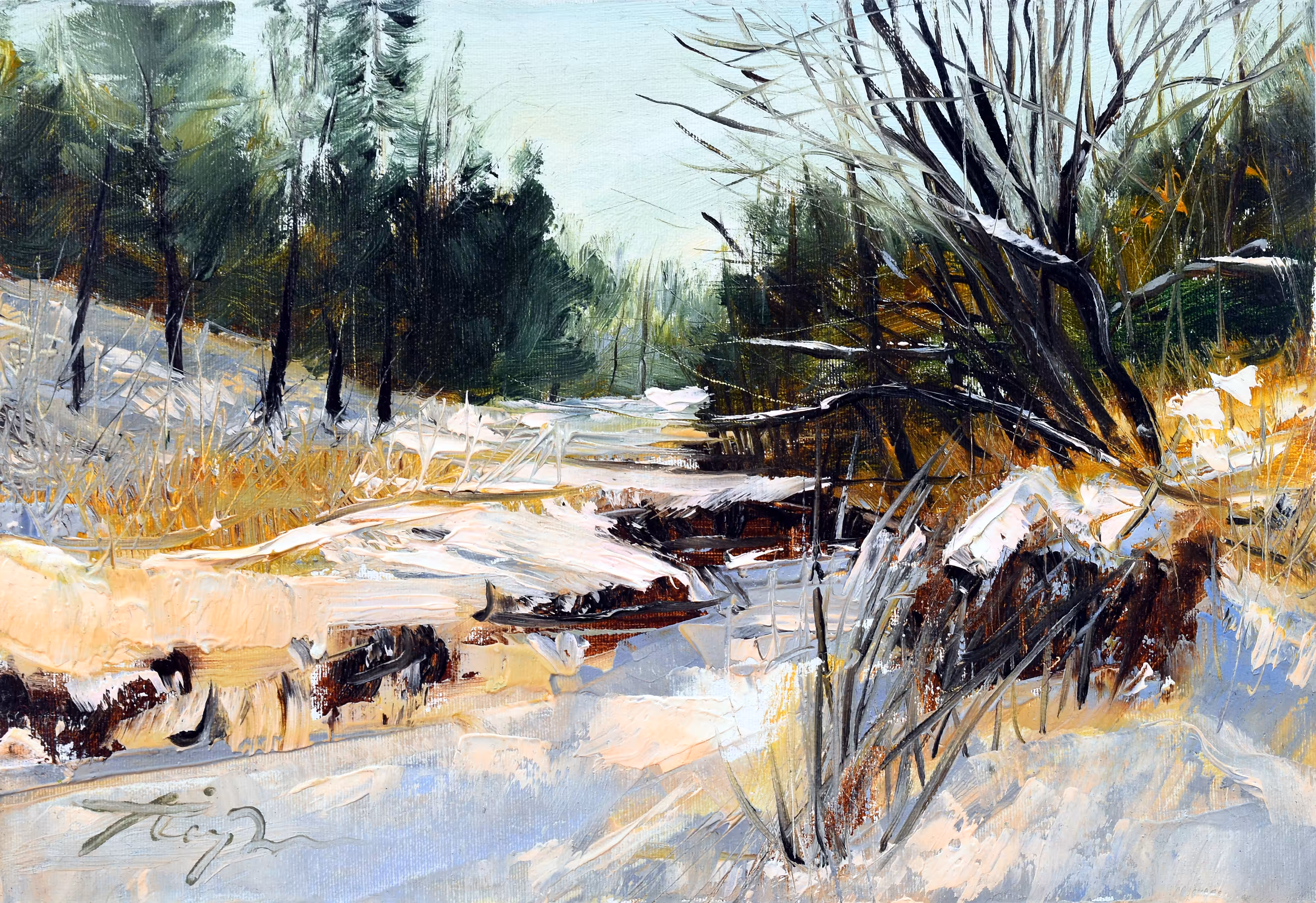 heavy snow