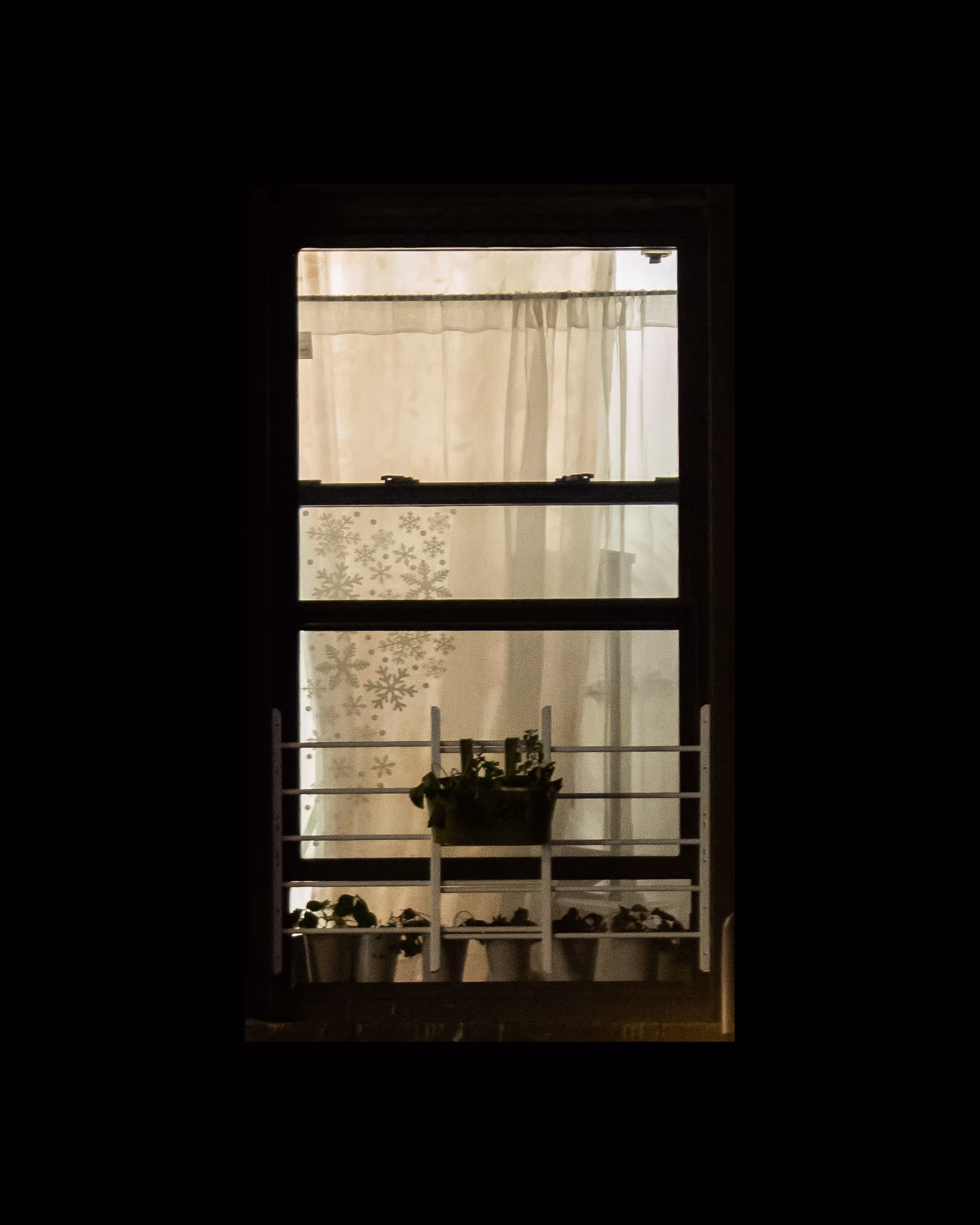 WINDOWS // NYC: WINDOW 556