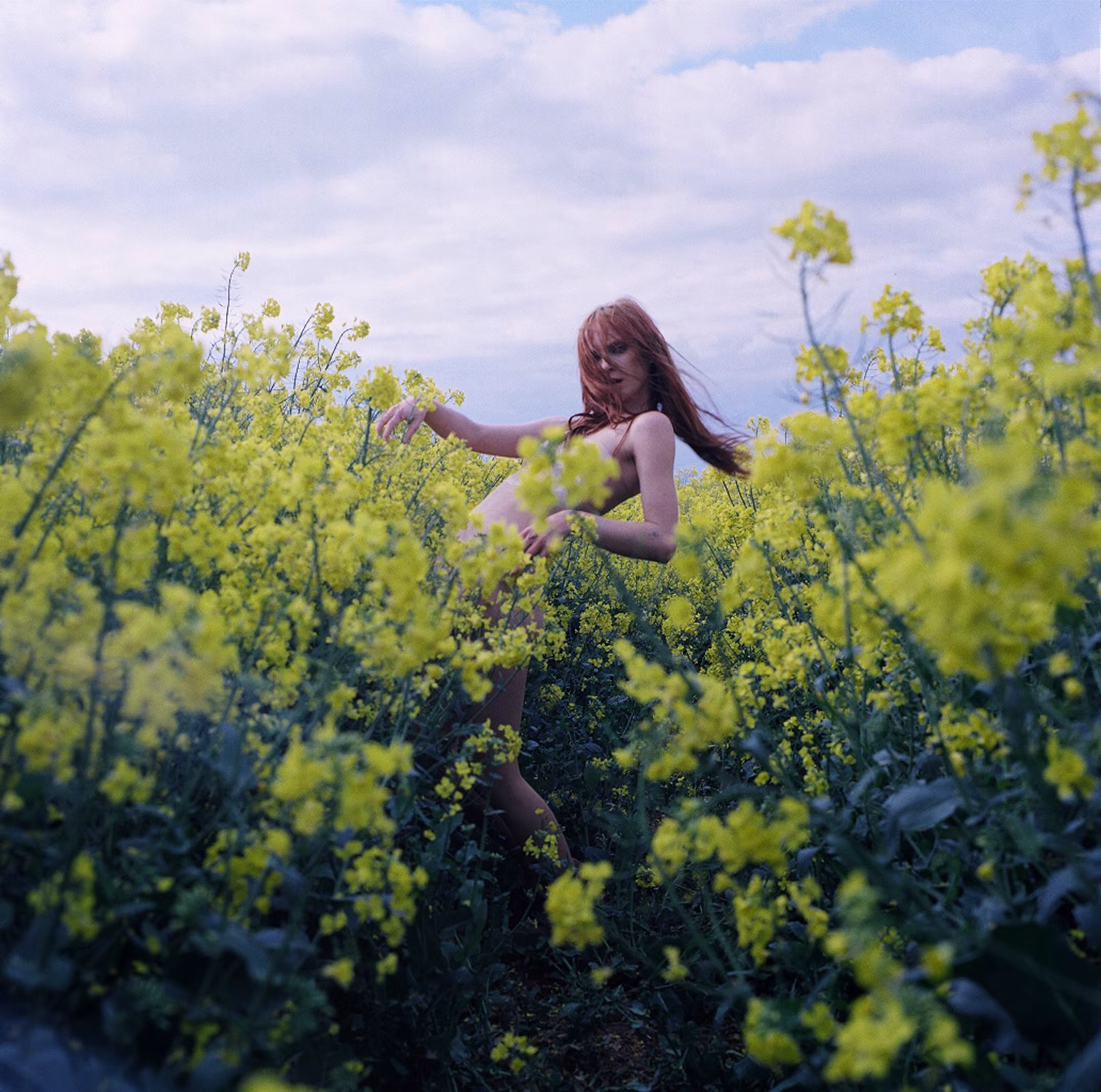 The Day Before Extinction 09