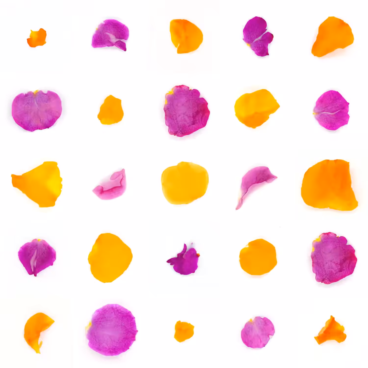 Infinite Petals 5x5#2318