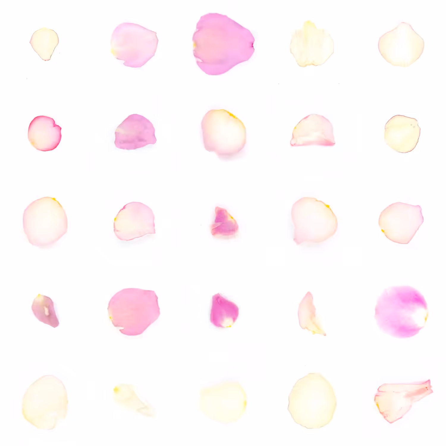 Infinite Petals 5x5#20669