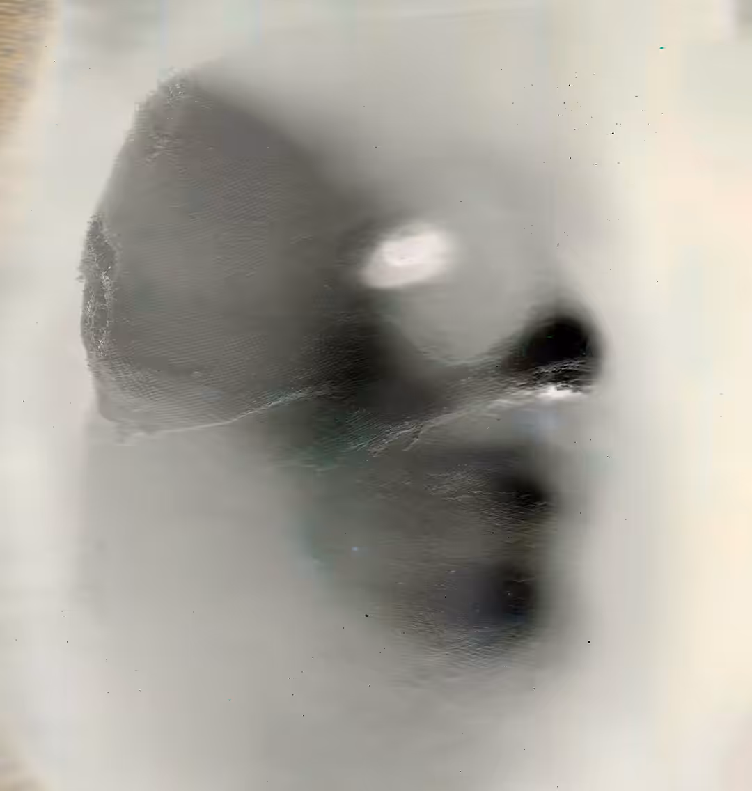 Ex.. 47