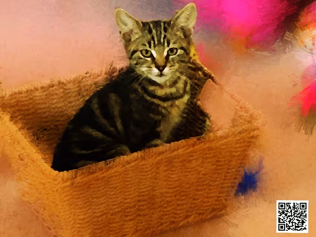 Furbaby in a box