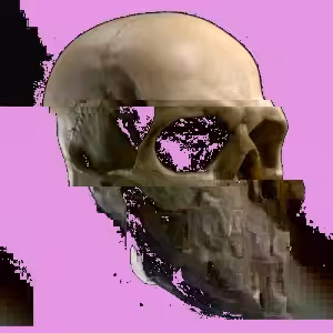 Glitched Skull #016