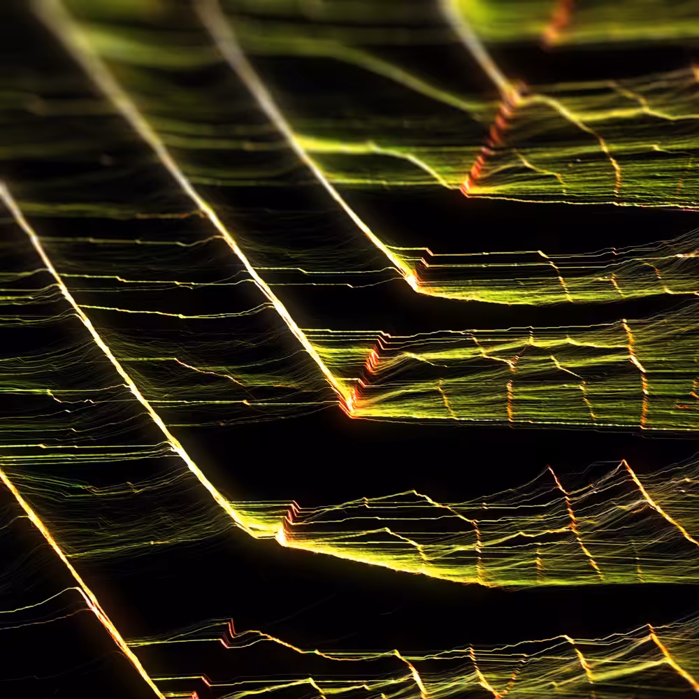 DIGI LEAF 3