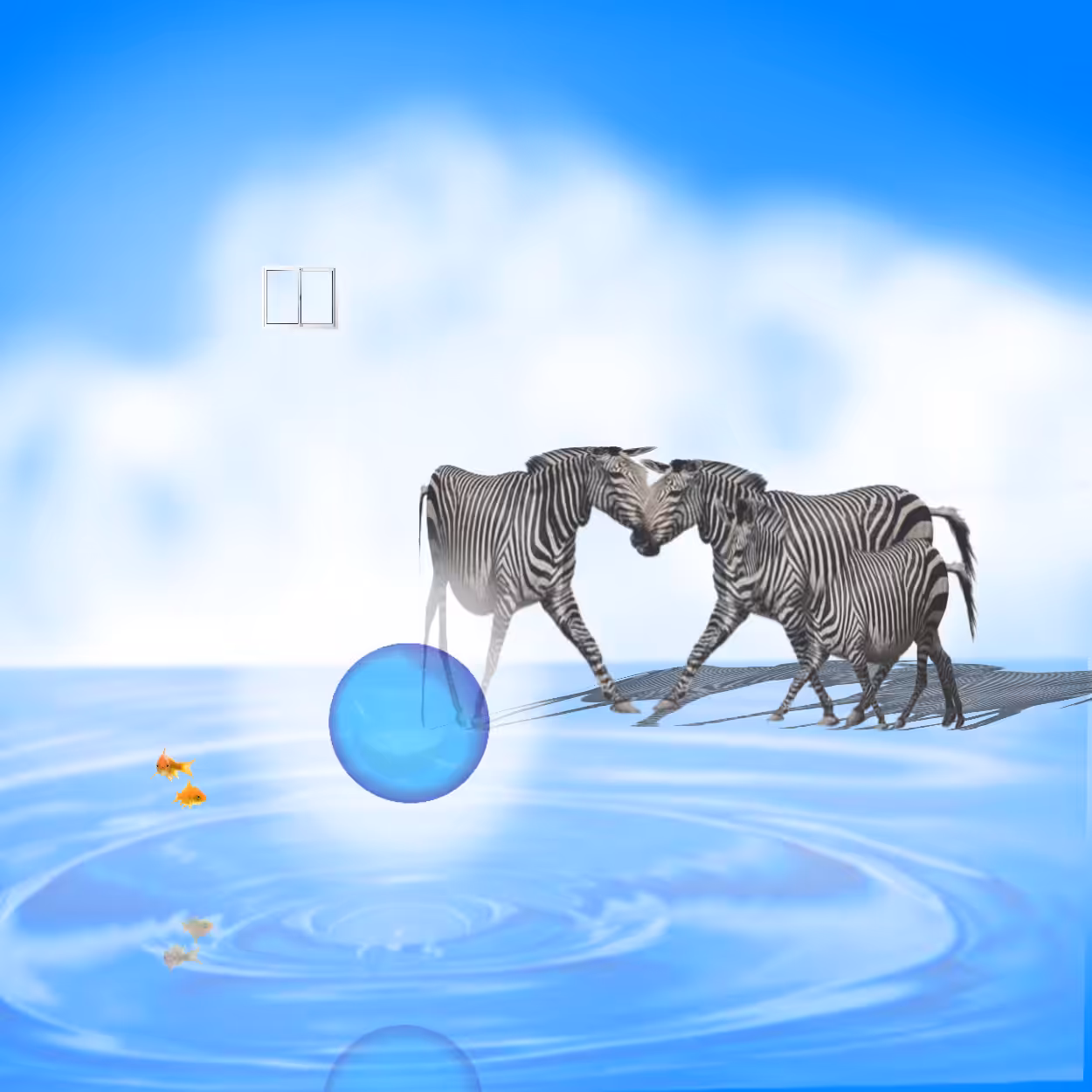 zebra