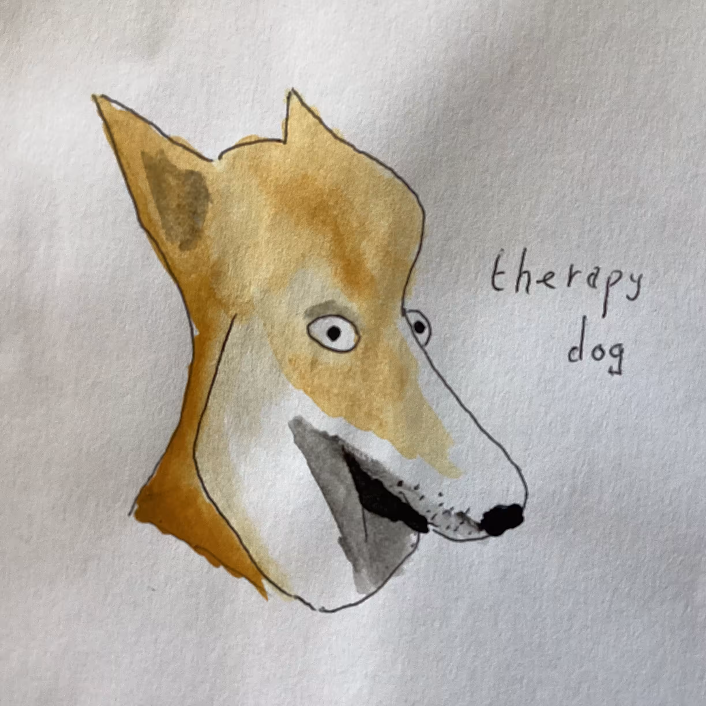 Therapy dog