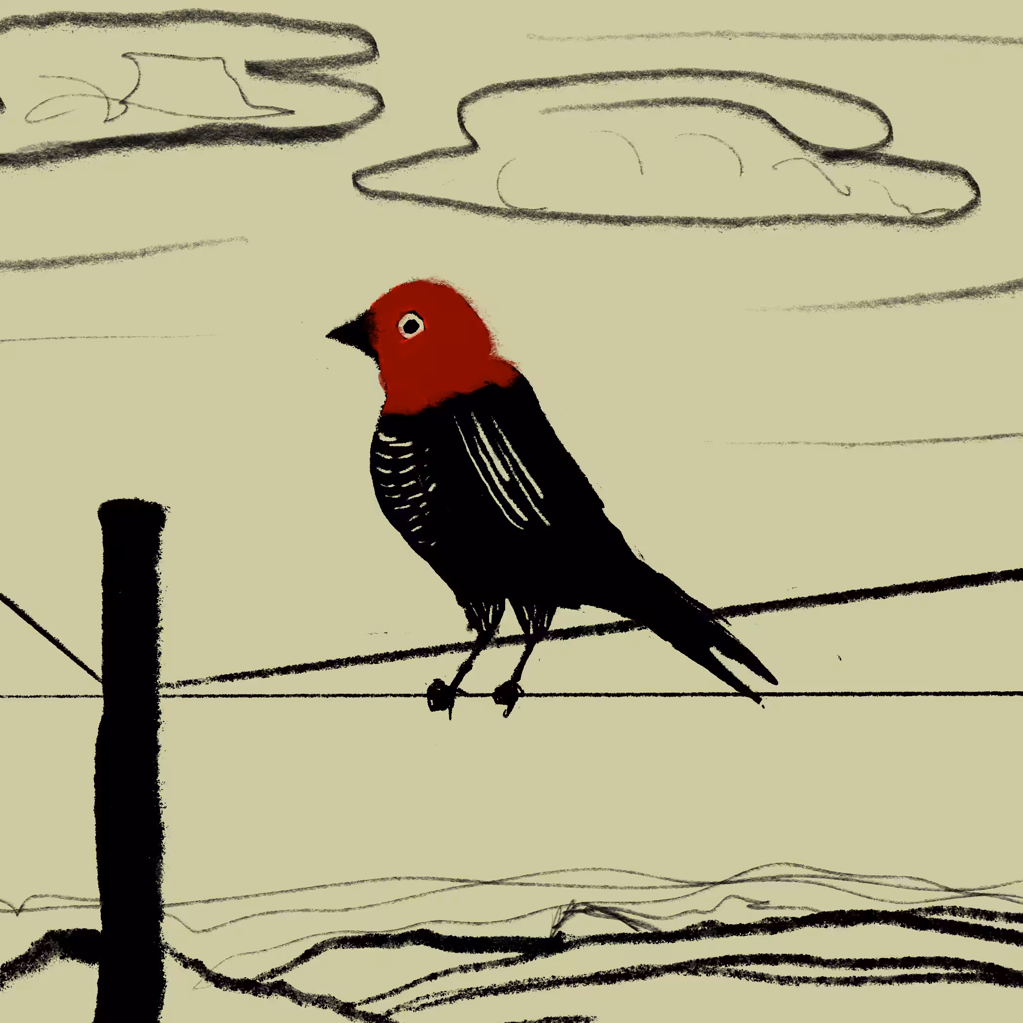 Free Bird