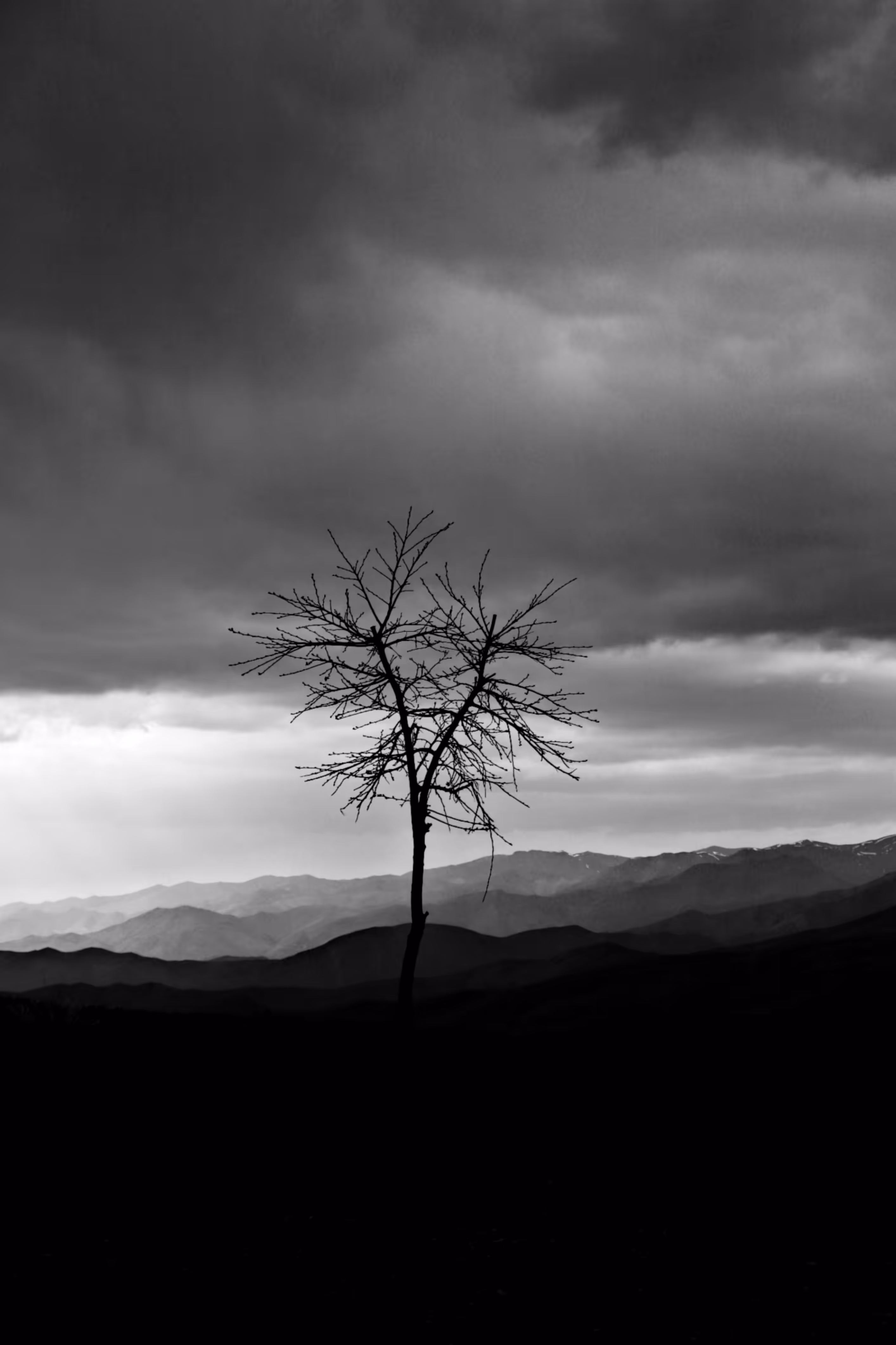 Quiet place
