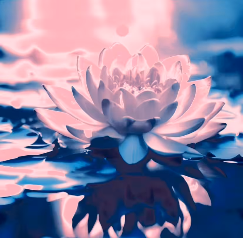 Lotus Flower Rising (Pink & Blue Variant) 