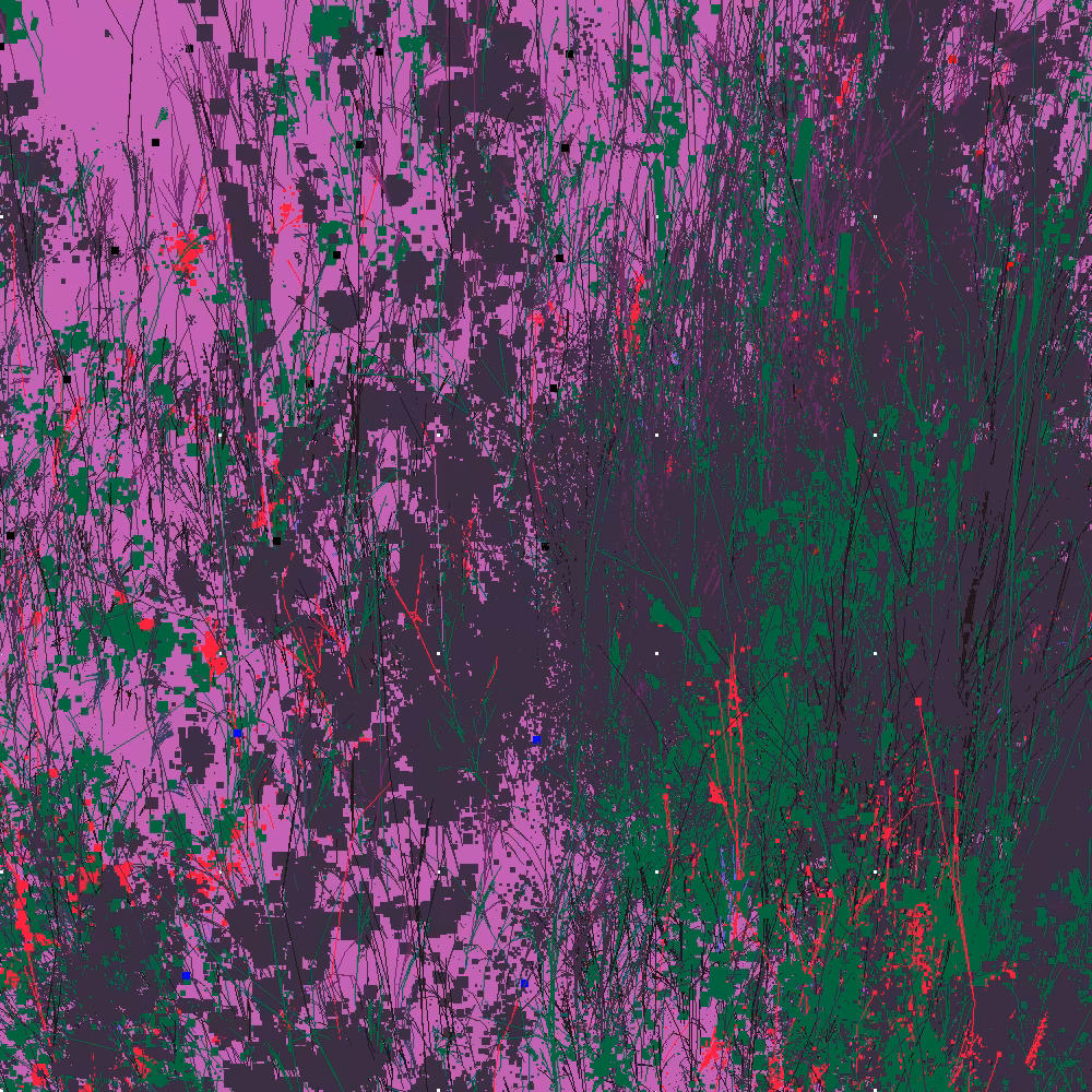 Infinite Garden: 53011 Flowers
