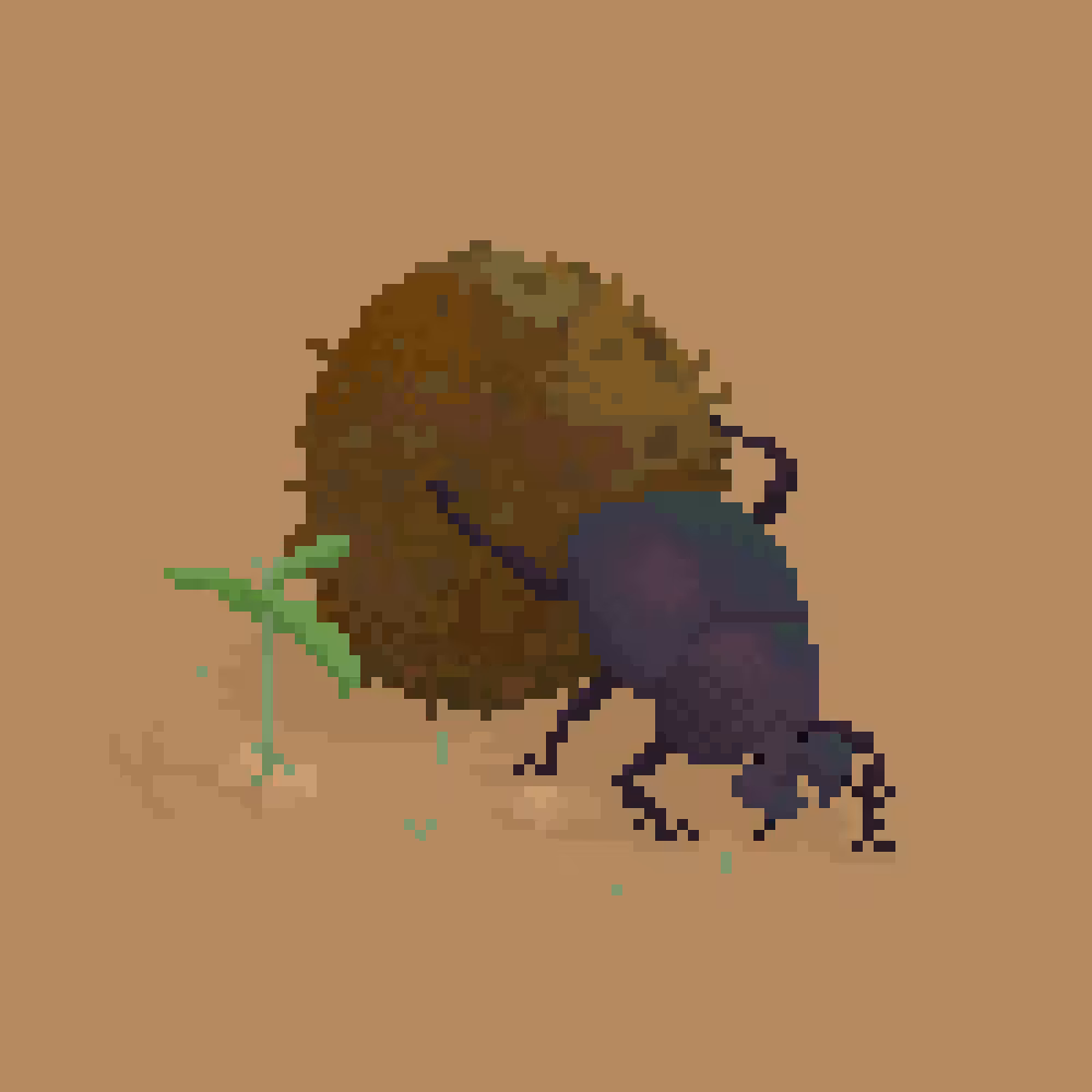 Dung Beetle