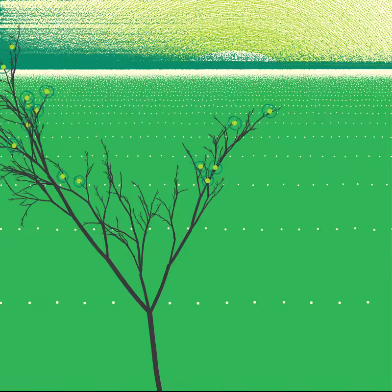 GPTree #40