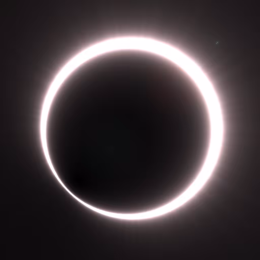 Totality #253
