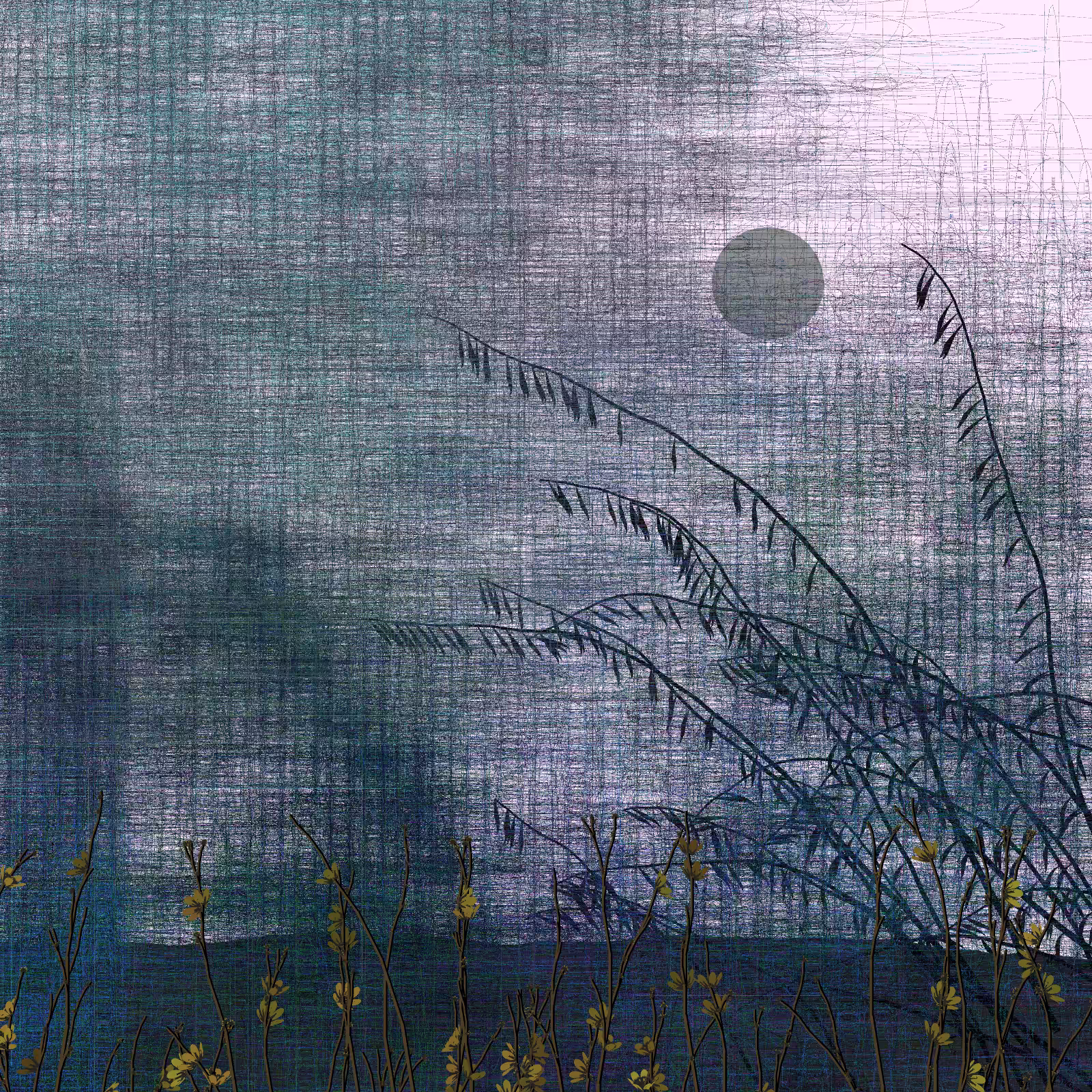 Echoes #68