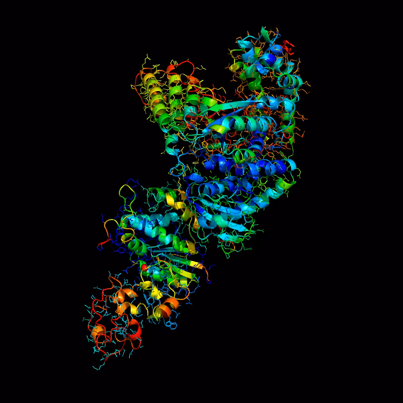 Prime Time – Taq polymerase