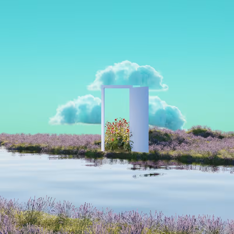 The Door #12