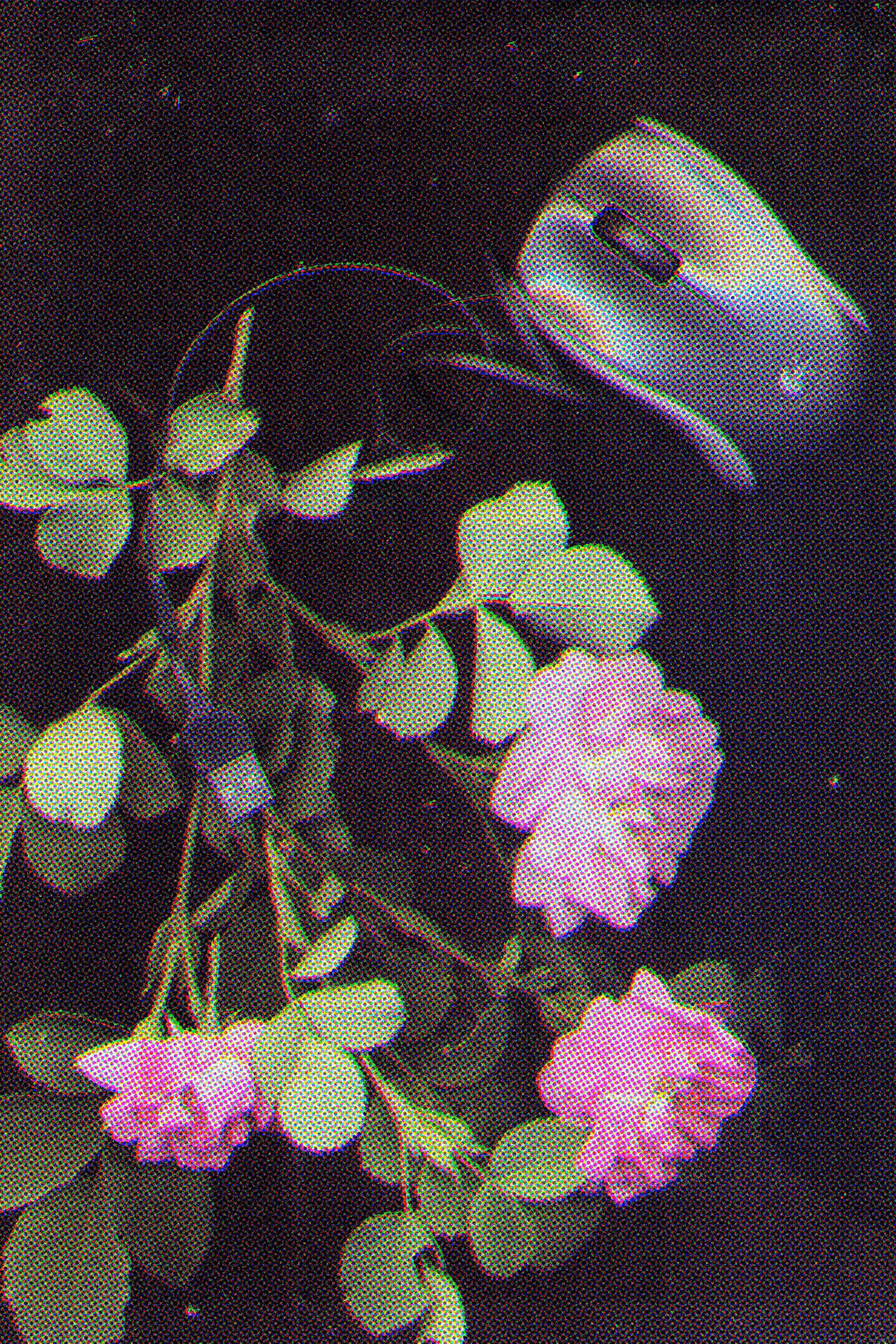 Scanography poster: Сonnection